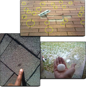 All City Contracting Images
