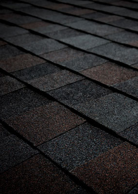 All City Contracting Images