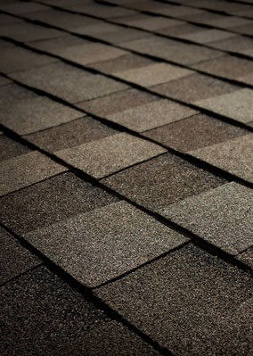 All City Contracting Images