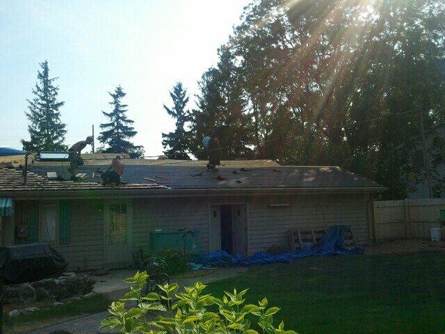 New asphalt shingle roof by All City Contracting