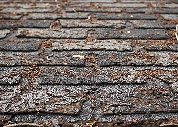 All City Contracting Images